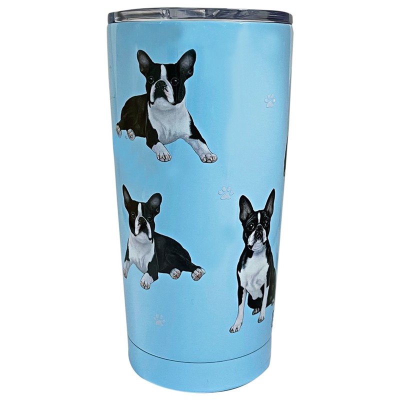 Boston Terrier